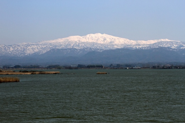 柴山潟から見た白山