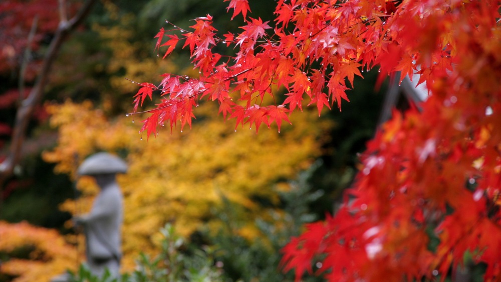 北陸　加賀温泉郷の紅葉スポット