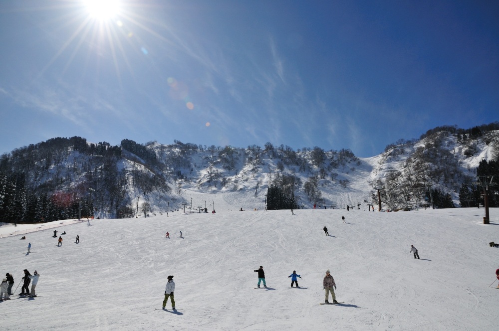 宿泊者限定「白山エリア リフト券割引キャンペーン」実施中！！