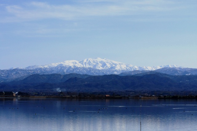柴山潟から見た白山