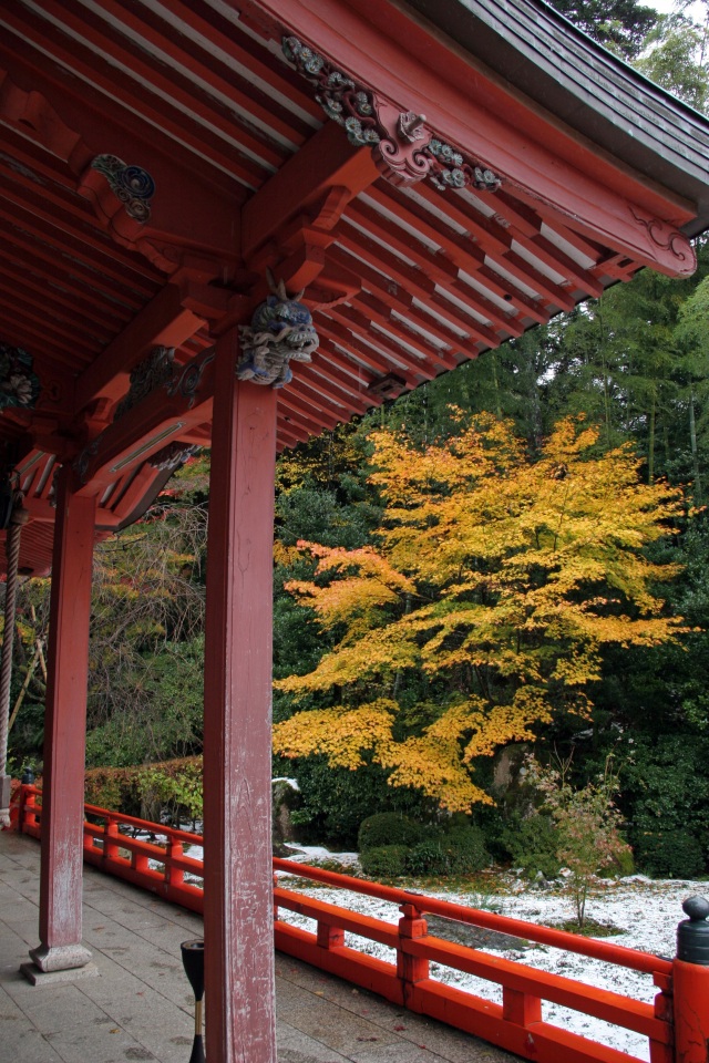 薬王院温泉寺 紅葉
