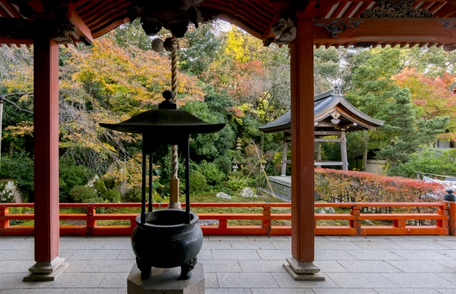 薬王院温泉寺 紅葉