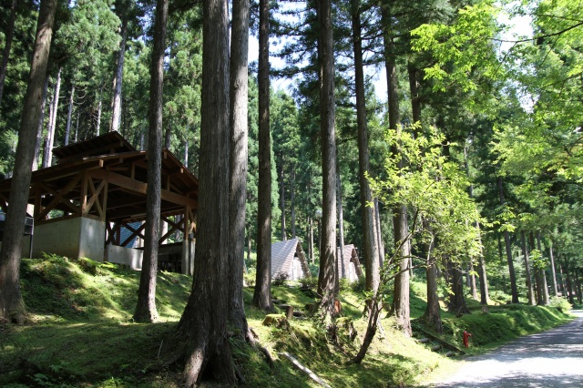 石川県県民の森