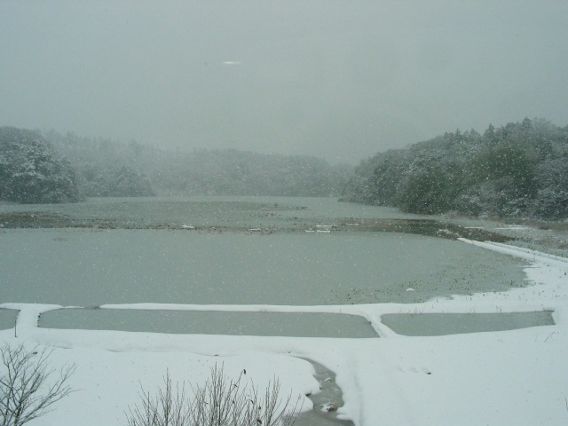 加賀市鴨池観察館