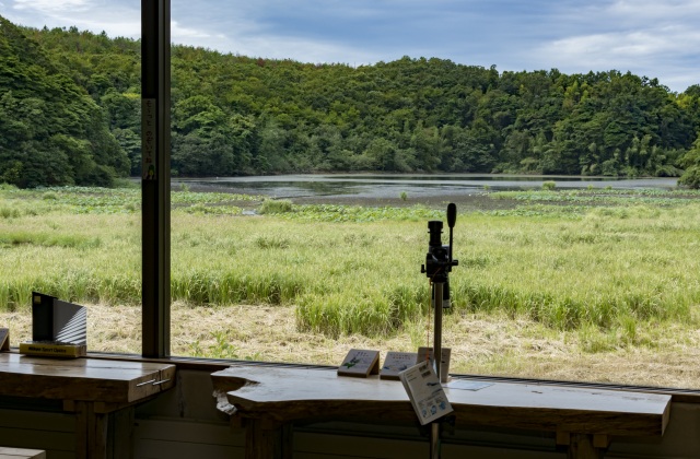 加賀市鴨池観察館