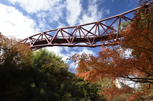 山中温泉 あやとりはし 紅葉