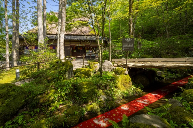 加賀 伝統工芸村　ゆのくにの森