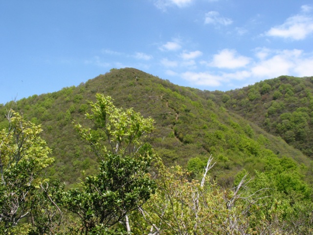 富士写ヶ岳