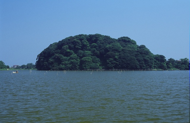 鹿島の森