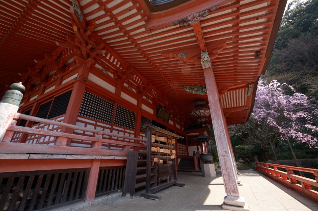 薬王院温泉寺