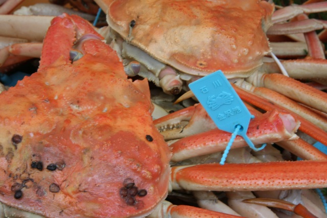 加能ガニ（イメージ）