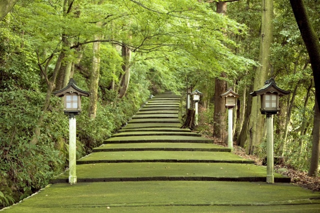 白山比咩神社