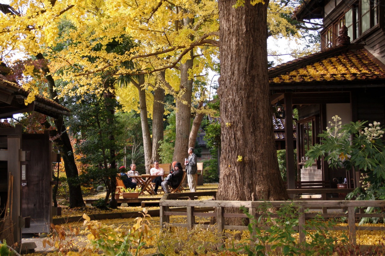 深田久弥 山の文化館（紅葉）